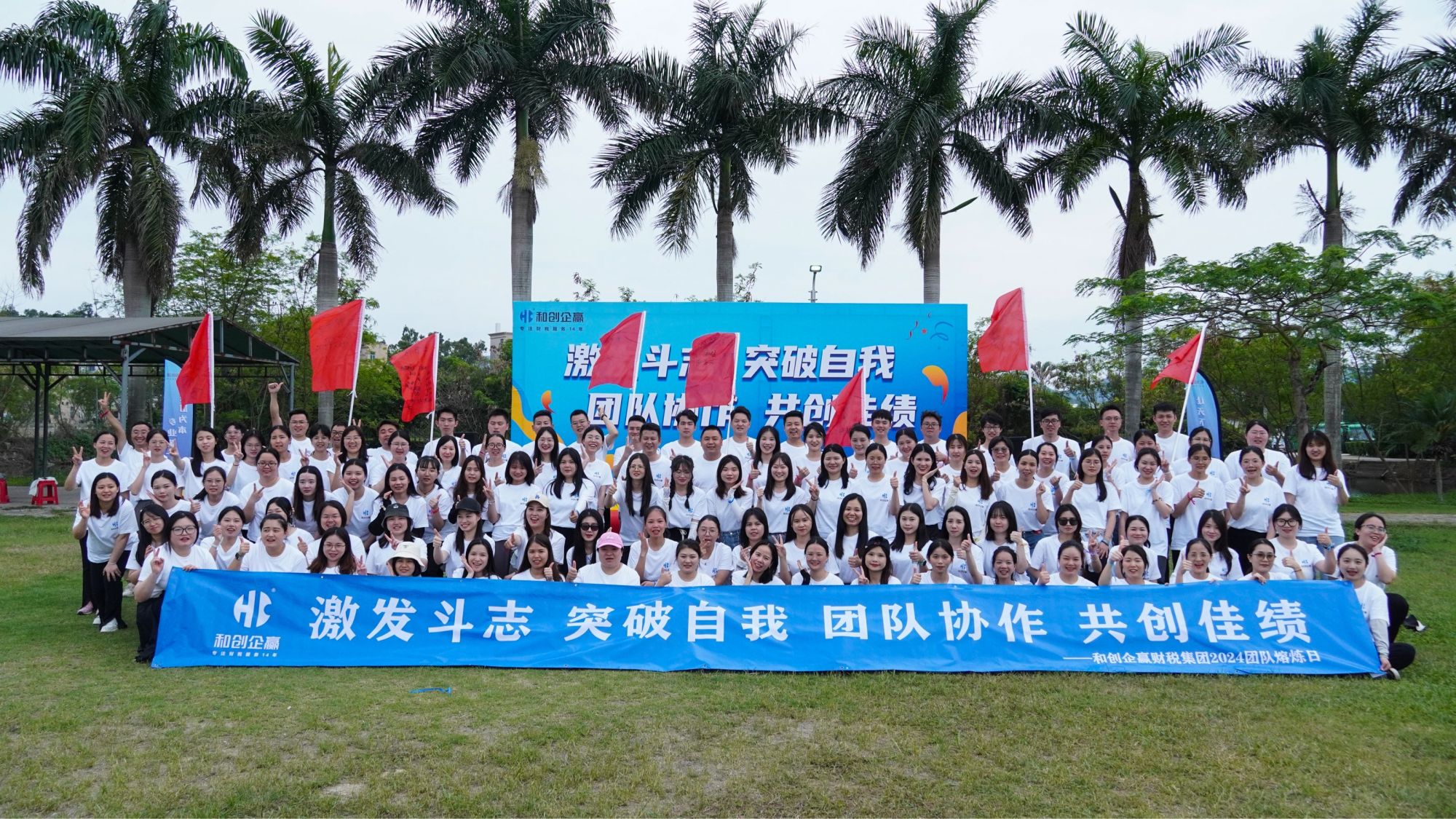 团队31